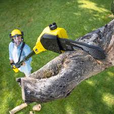 Lawn Pest Prevention in Hewitt, NJ